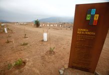 53 parlamentarios firman carta en rechazo a fallo del TC que permitirá continuar el proceso de evaluación ambiental del proyecto minero Dominga